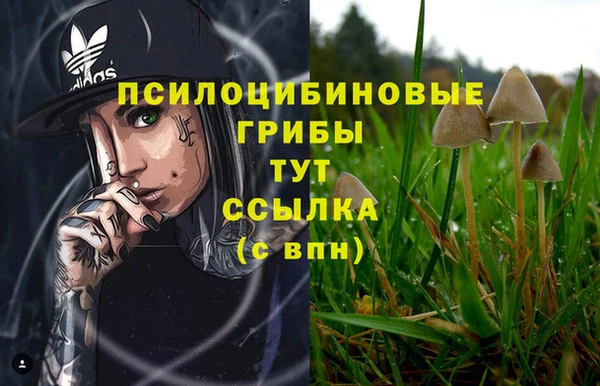 МДМА Сатка